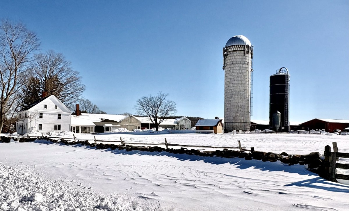Silos at Tiffany Farm stand up from the snow