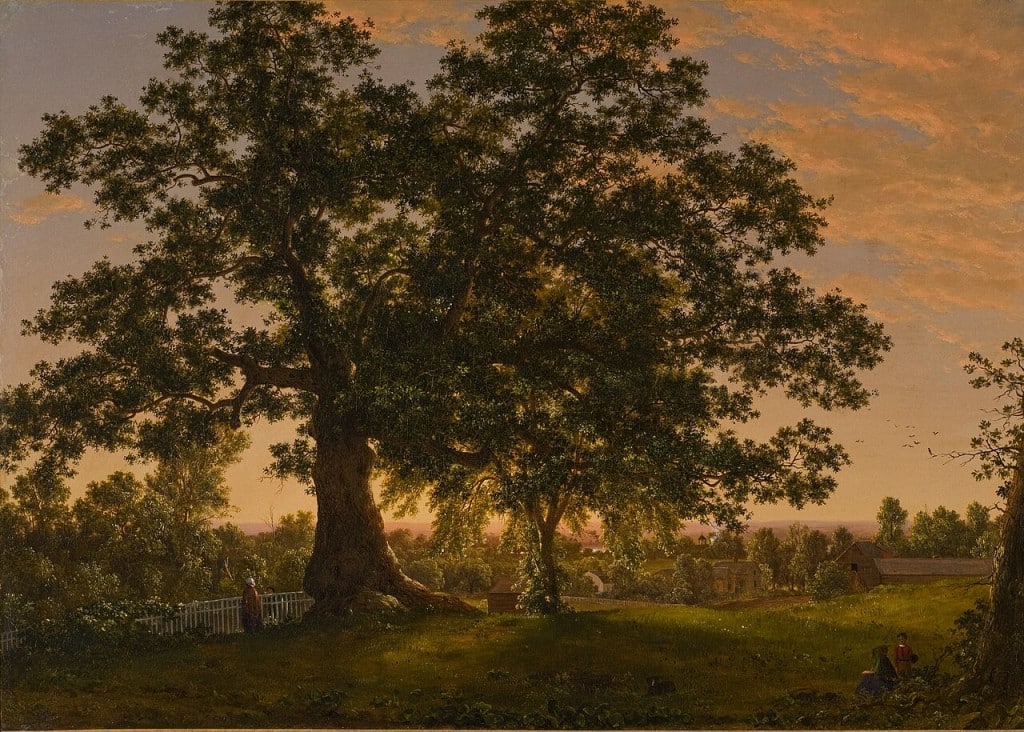 The tree stands in what appears to be sunrise or sunset, with one person standing near its trunk and two looking on from beyond the leafy canopy.