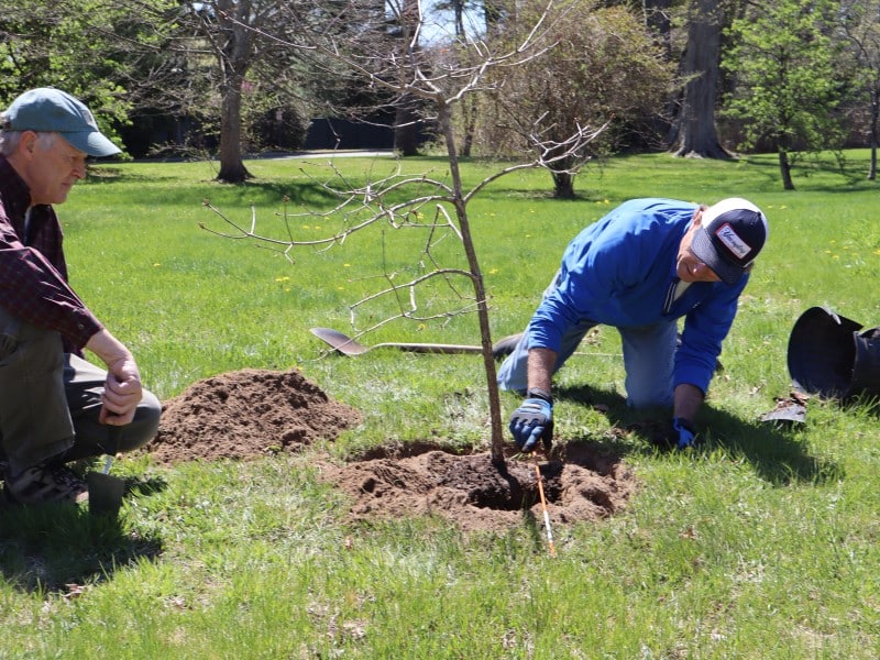 Degnan points to the root ball visible above the top of the hole.