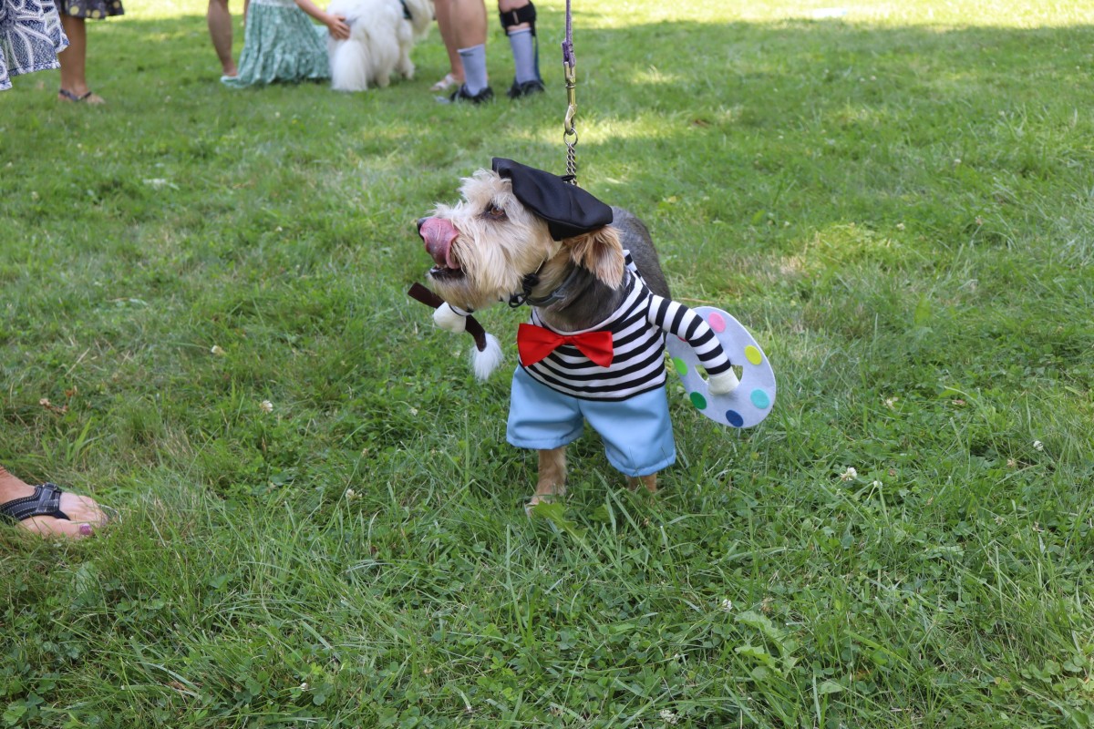 From Rembrandt the Dog to LEGO Towers, Old Lyme's Midsummer Festival Delivers a Day of Art-Inspired Fun – LymeLine