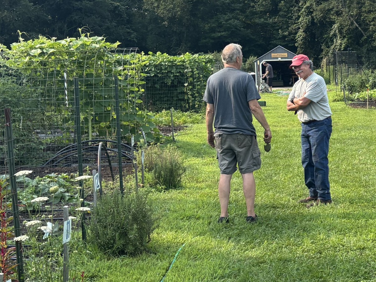Lyme-Old Lyme Food Share Garden Support Runs Deep with $10,000 Donation from United Way – LymeLine